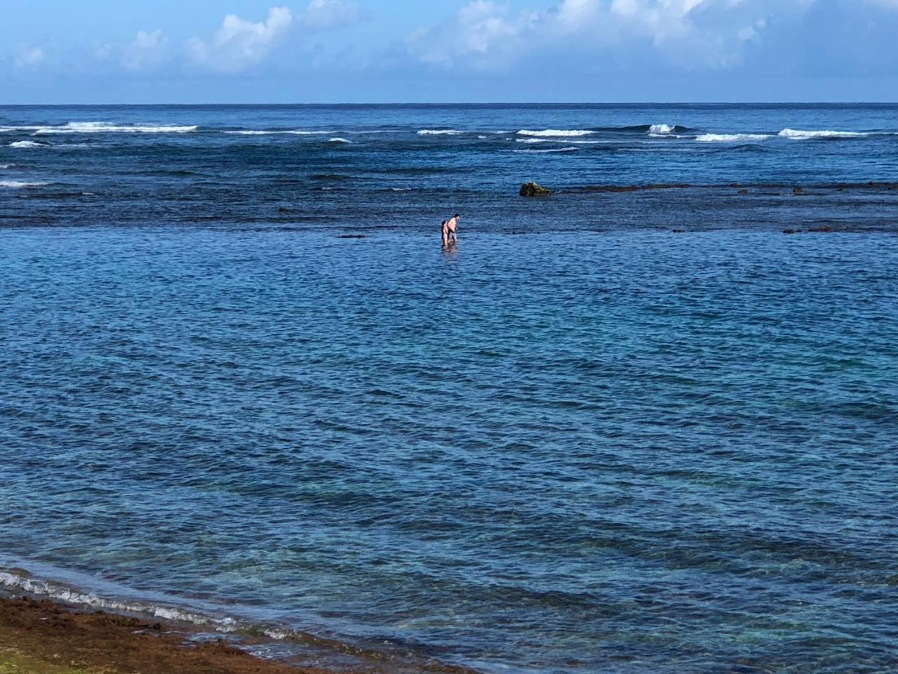 Mokule'Ia Beach Houses At Owen'S Retreat 와이알루아 외부 사진